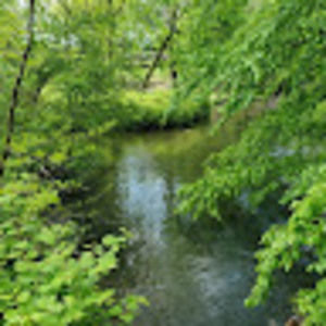 Meet your Posher, Ann